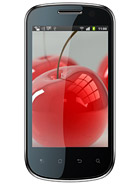 Best available price of Celkon A19 in Bahrain