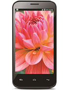 Best available price of Lava Iris 505 in Bahrain