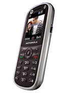 Best available price of Motorola WX288 in Bahrain