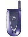 Best available price of Motorola V66i in Bahrain
